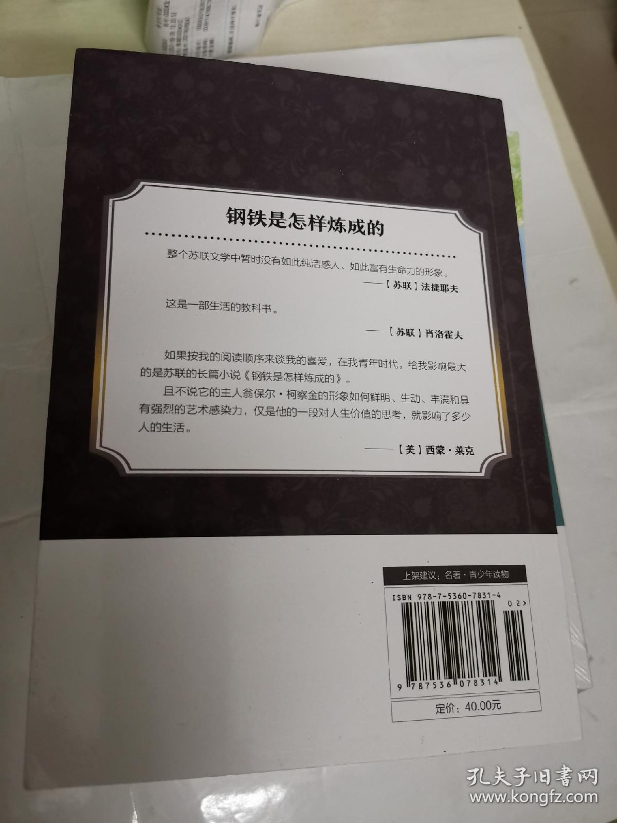 新课标中小学生课外必读文学经典·钢铁是怎样炼成的