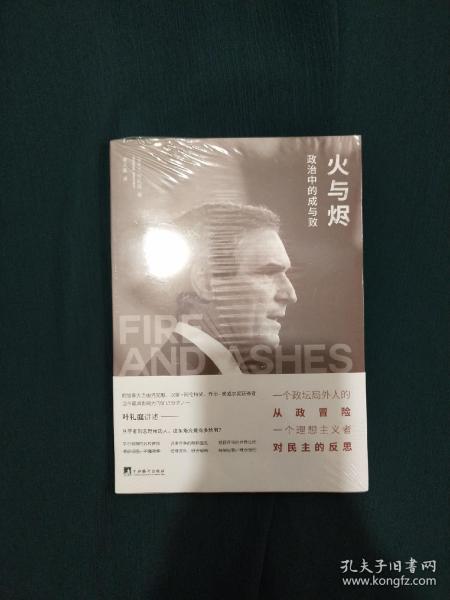火与烬：政治中的成与败
