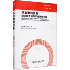 从集聚到创新——新兴经济体的产业集群升级