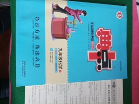 综合应用创新题典中点：九年级化学（下）