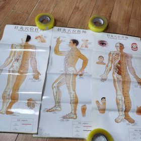针灸穴位挂图 1，2，3 ，正面、背面、侧面 无说明书，无包装袋