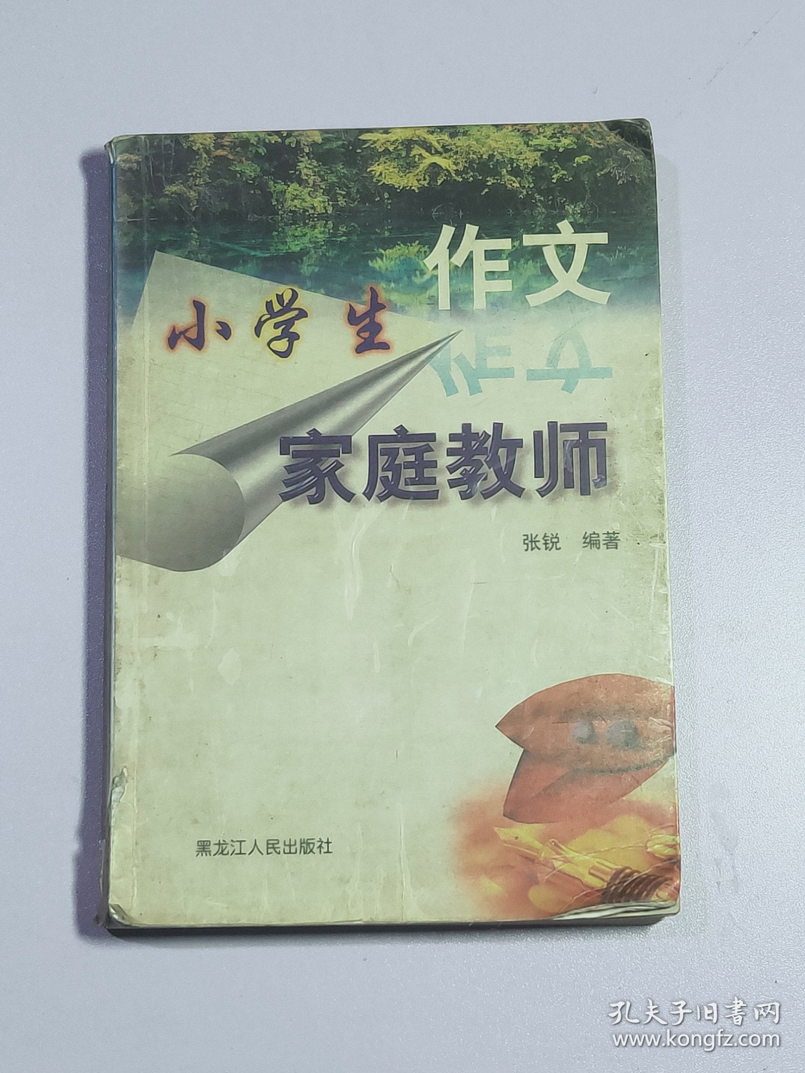 小学生作文家庭教师