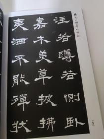 近代碑帖大观. 第3集    本书共收集清代至民国初年9幅书法作品，其中有墓志、碑文、法帖不等，均是当期的传世佳作