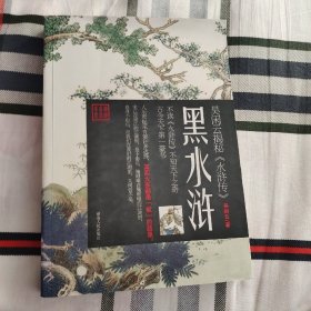 黑水浒：吴闲云揭秘《水浒传》