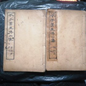 （康熙时代）芥子园画传梅菊谱：梅丶菊谱二册