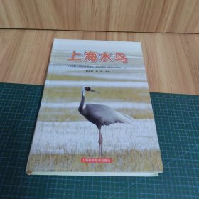 上海水鸟