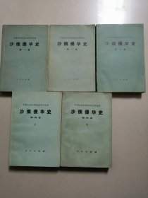 沙俄侵华史（全四卷五册，经典老版本，有黄斑，自然旧，第三卷、第四卷品尤好）