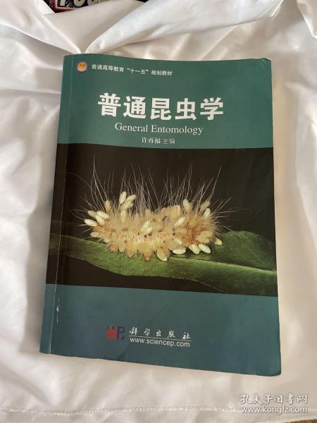 普通昆虫学