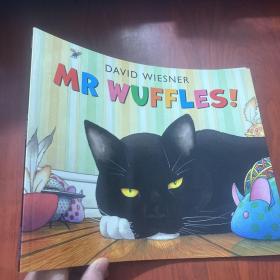 Mr Wuffles! [Paperback] 华夫先生！（2014年凯迪克银奖、大卫-威斯纳新作品）