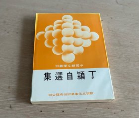 丁颍自选集