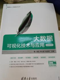 大数据可视化技术与应用-微课视频版