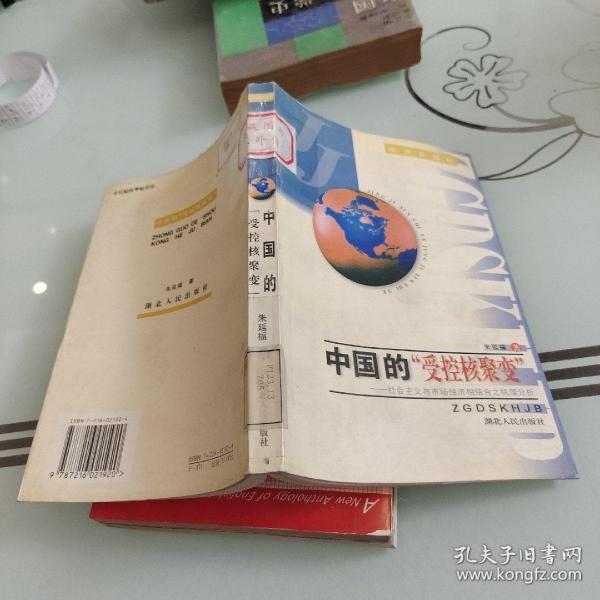 中国的“受控核聚变”:社会主义与市场经济相结合之机理分析