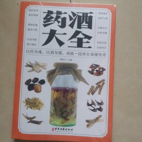 药酒大全（平装）