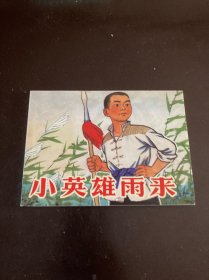 小英雄雨来