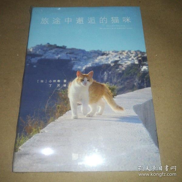 旅途中邂逅的猫咪