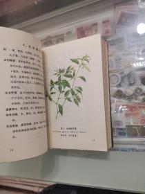 云南中草药选续集，78年好品