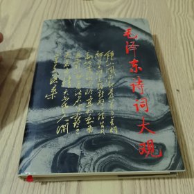 毛泽东诗词大观（精装）