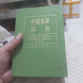 中国名菜词典