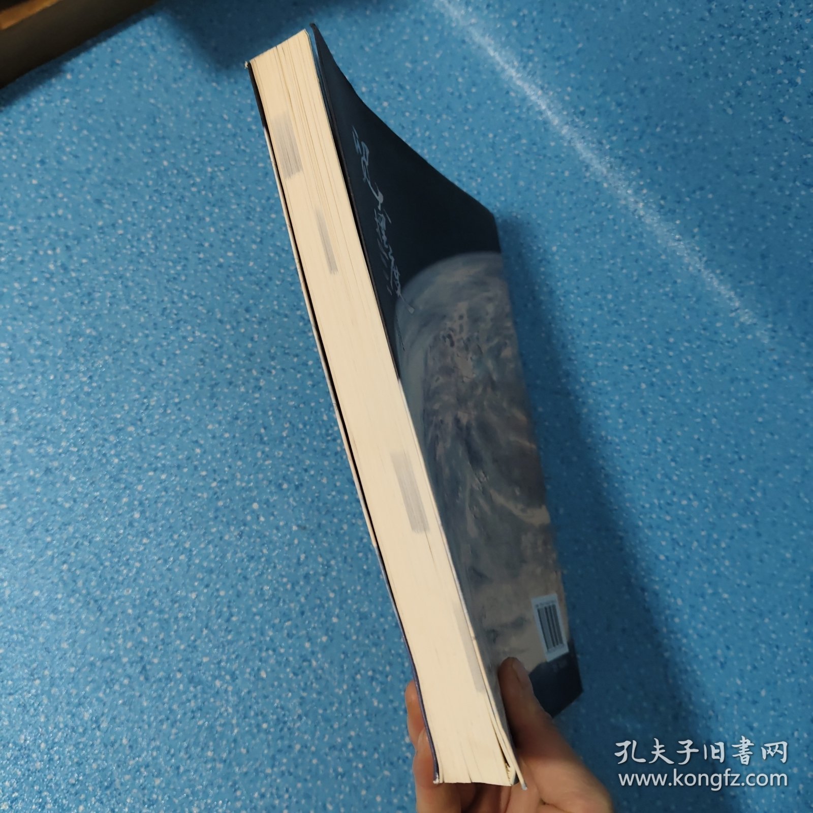贸大摆渡2018.