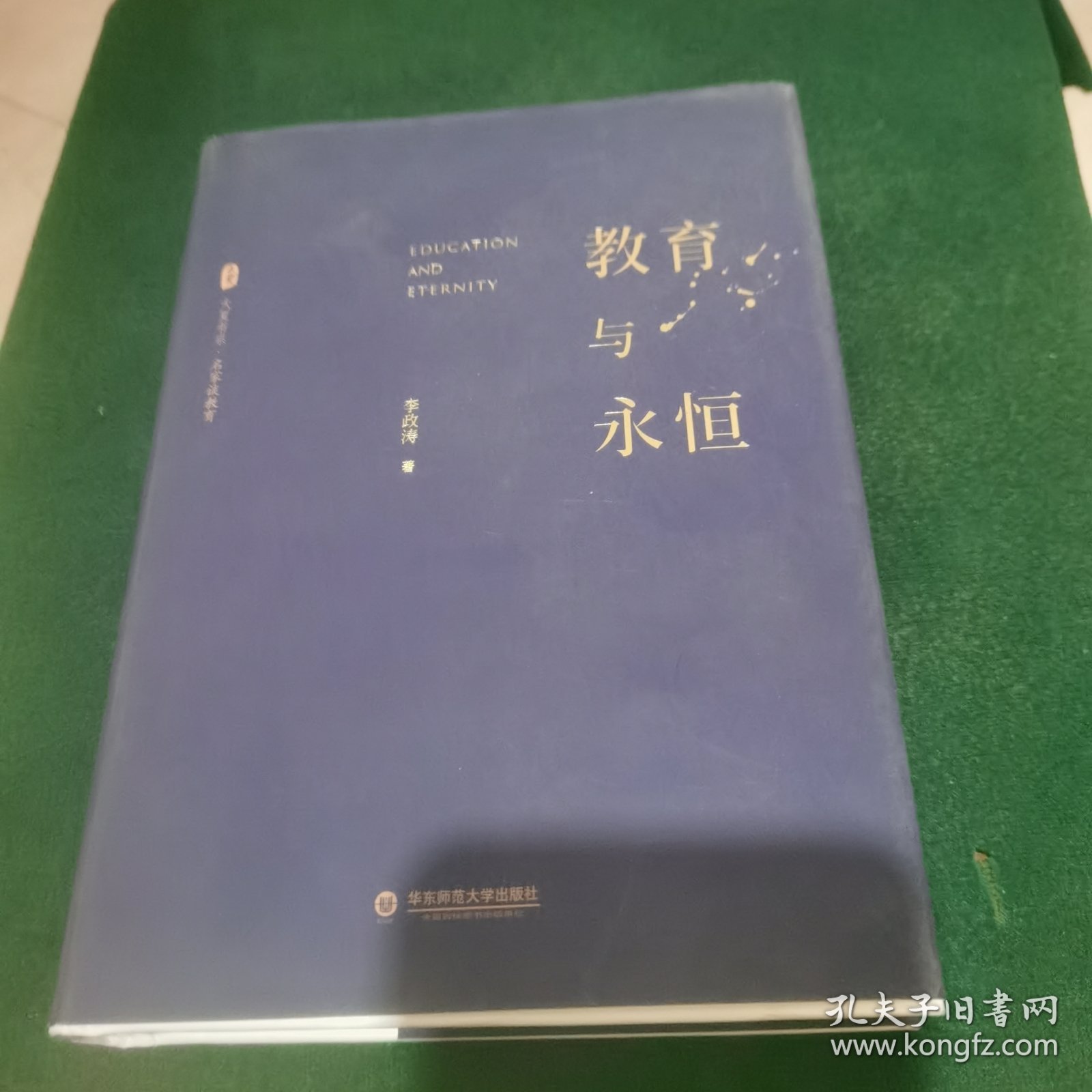 大夏书系·教育与永恒（李政涛致敬周国平之作，周国平作序推荐，名家谈教育）