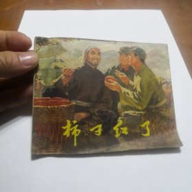 柿子红了连环画