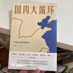国内大循环(何毅亭、黄奇帆、孔丹、迟福林、姚洋、黄群慧等撰文)