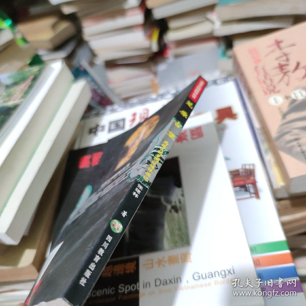 荒原古堡・ 西藏古格王国故城探察记：华夏文明探秘丛书