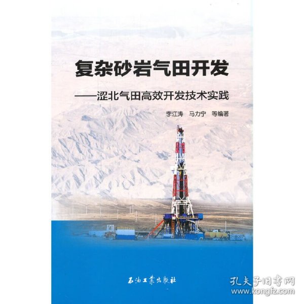 复杂砂岩气田开发——涩北气田高效开发技术实践