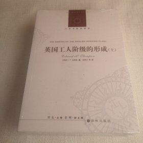 英国工人阶级的形成（上下册）