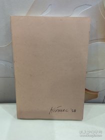 达摩流浪者