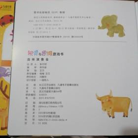 视觉与思维游戏书（全套4册）