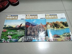 特别关注，2006年，3本合售