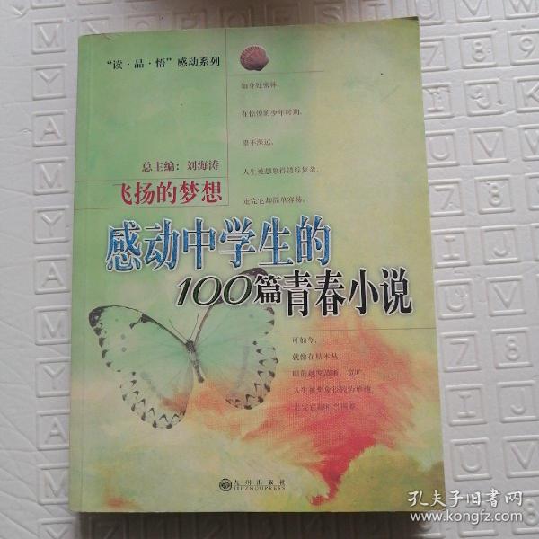 飞扬的梦想：感动中学生的100篇青春小说