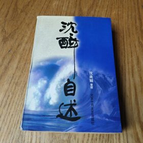 沈醉自述