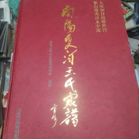 南阳夏河王氏家谱(1002页)