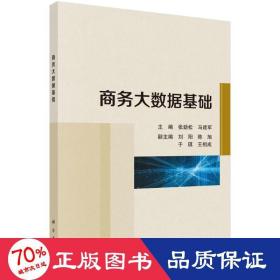 大数据基础 大中专文科社科综合 作者