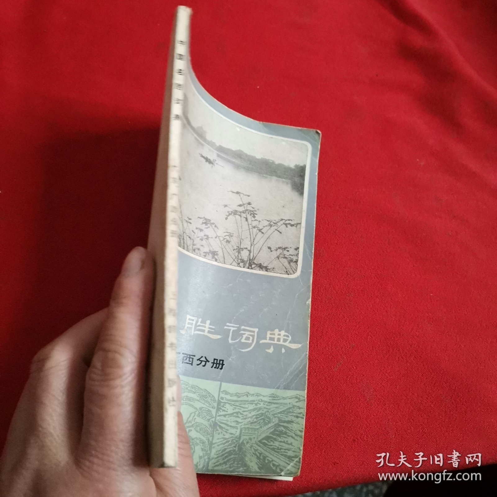 中国名胜词典（广东、广西分册）