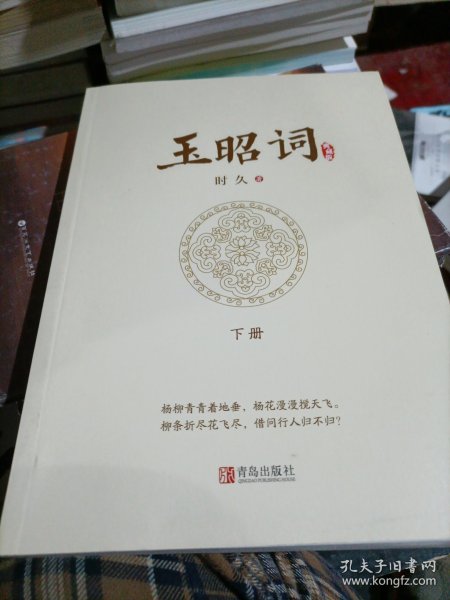 玉昭词（全二册）孙怡、金瀚、檀健次主演影视剧《今夕何夕》，赠书签、明信片、海报