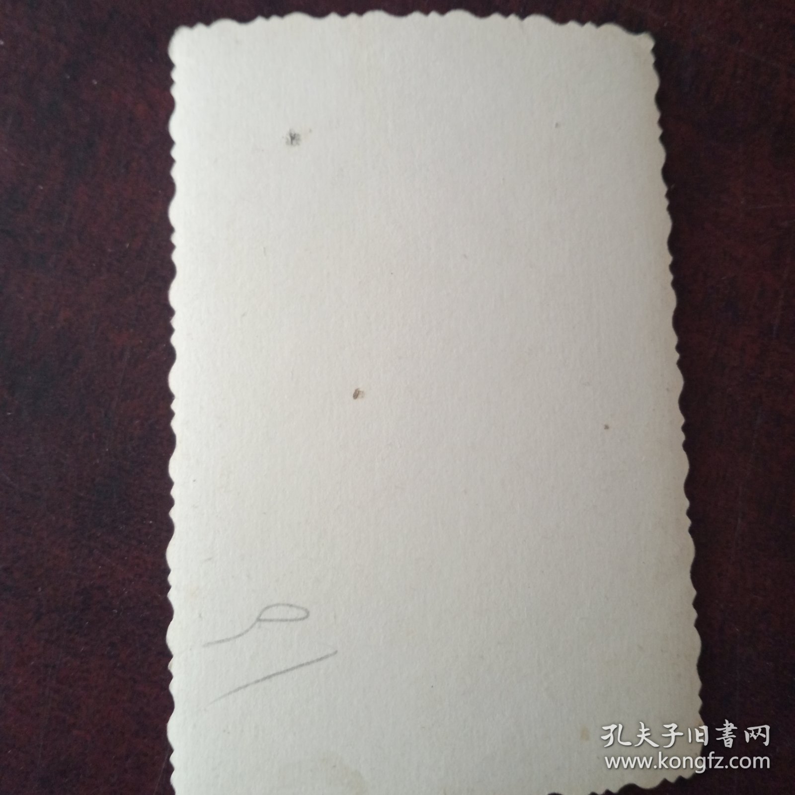 合影老照片一张