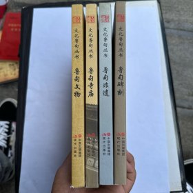文化鲁甸丛书 全4册