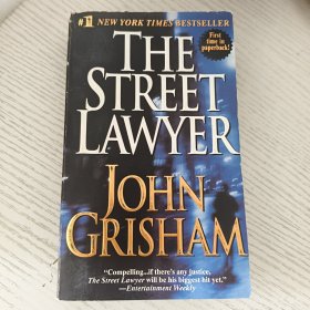 THE STREET LAWYER