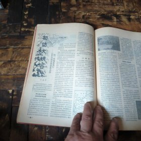 化石1982年1~4期（季刊，全年合售）