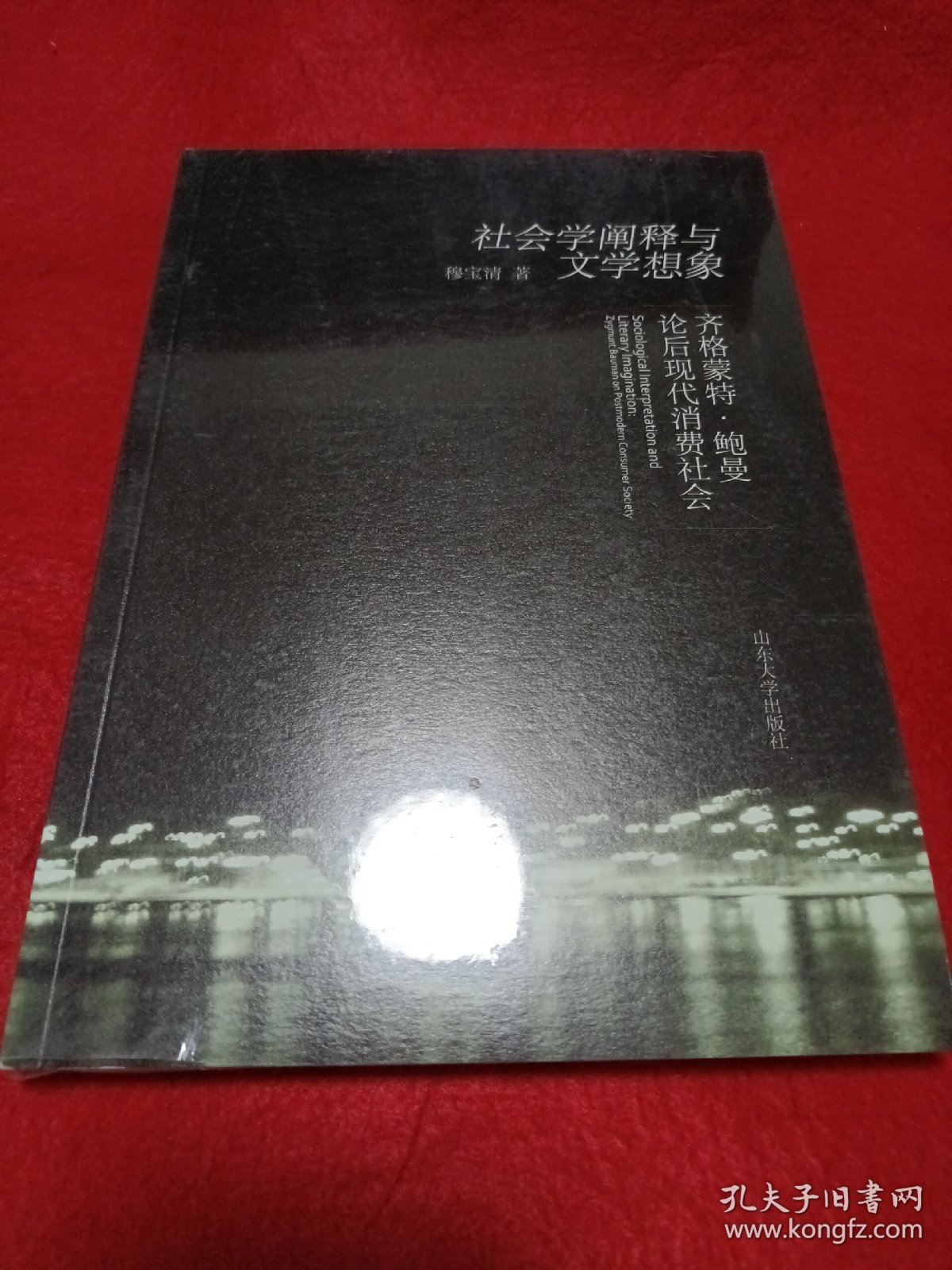 社会学阐释与文学想象（齐格蒙特·鲍曼论后现代消费社会）（未拆封）