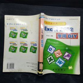 電子會(huì)計(jì)師:Excel 2002學(xué)用DIY