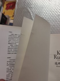 追风筝的人（全新装帧，精装纪念版，李雪琴、高圆圆动情推荐）