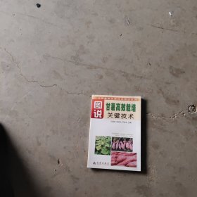图书甘薯高效栽培关键技术（全彩）