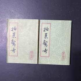 拍案惊奇(上下)