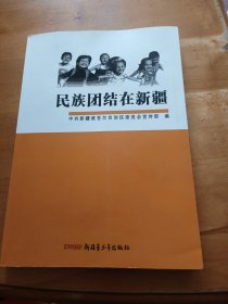 民族团结在新疆