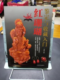 红珊瑚鉴定与收藏入门（书皮后面少损里面新）