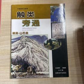 中国画技法解析触类旁通树类·山石类（存放114层）
